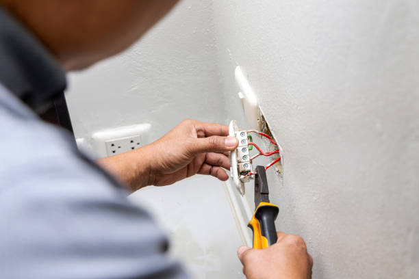 Best Electric Panel Repair  in Umatilla, FL